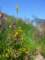 imgp3158_small.jpg