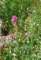 imgp3159_small.jpg