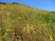 imgp3161_small.jpg
