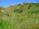 imgp3162_small.jpg