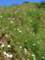 imgp3165_small.jpg