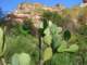 imgp3168_small.jpg