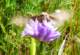 imgp3174_small.jpg