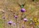 imgp3179_small.jpg