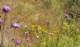 imgp3180_small.jpg