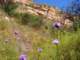 imgp3183_small.jpg
