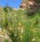 imgp3195_small.jpg