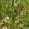 imgp3199_small.jpg