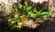 imgp3208_small.jpg
