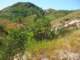 imgp3214_small.jpg