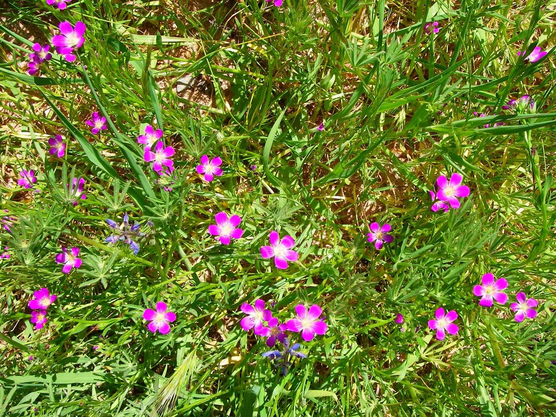 imgp3215.jpg