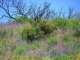 imgp3217_small.jpg