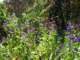 imgp3220_small.jpg