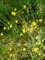 imgp3222_small.jpg