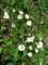 imgp3223_small.jpg