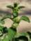imgp3225_small.jpg