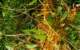 imgp3227_small.jpg