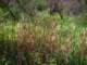 imgp3228_small.jpg