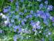 imgp3229_small.jpg
