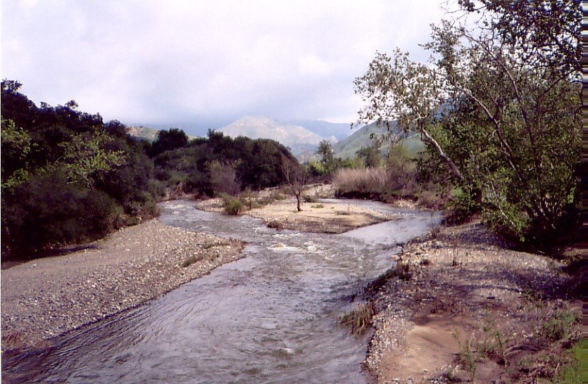 San Juan Creek flowing high after heavy winter rains, 2/2005