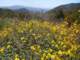 imgp3657_small.jpg