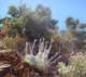 imgp3661_small.jpg