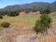 imgp3666_small.jpg