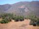 imgp3667_small.jpg