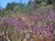 imgp3668_small.jpg