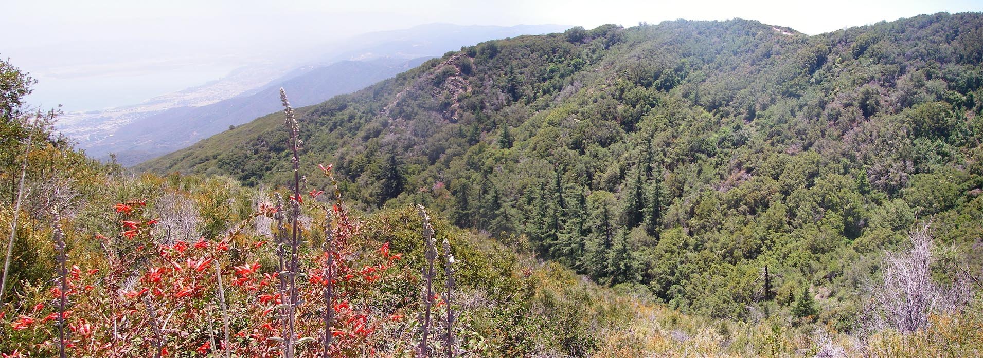 imgp3673m.jpg