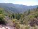 imgp3675_small.jpg