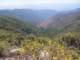 imgp3677_small.jpg