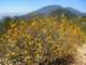 imgp3678_small.jpg