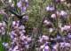 imgp3686_small.jpg
