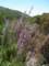 imgp3689_small.jpg