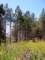imgp3691_small.jpg