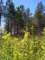 imgp3693_small.jpg