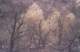 2003 Cuyamaca burn, 1/31/2004