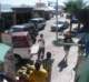 snflpe08010_small.jpg