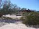 snflpe08023_small.jpg