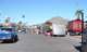 snflpe08033_small.jpg
