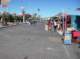 snflpe08035_small.jpg