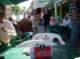 snflpe08045_small.jpg