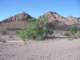 snflpe08060_small.jpg