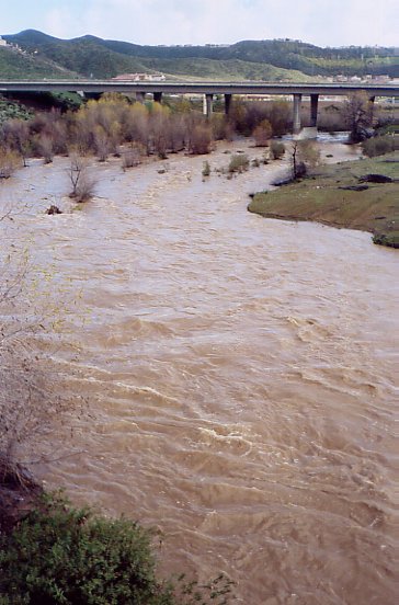 San Jacinto River flowing into Lake Elsinore under the 15 freeway, Jan 2005