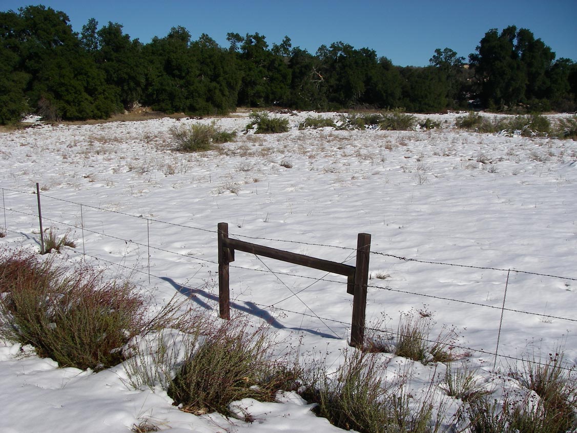 Snowy field on Main Divide Rd. south of Ortega Highway 12/20/2008