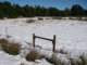 Snowy field on Main Divide Rd. south of Ortega Highway 12/20/2008