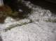 imgp1740_small.jpg