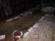 imgp1743_small.jpg