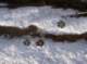 imgp1767_small.jpg